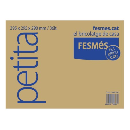 Caja Mudanzas Fesmés Pequeña 36 Litros
