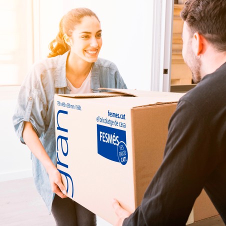 Caja Mudanzas Fesmés Pequeña 36 Litros