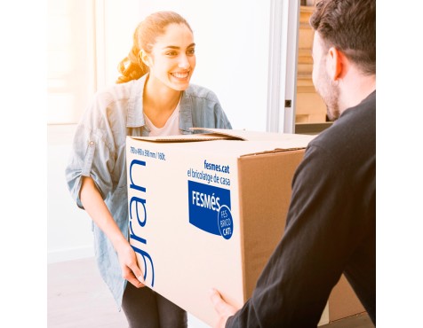 Caja Mudanzas Fesmés Pequeña 36 Litros