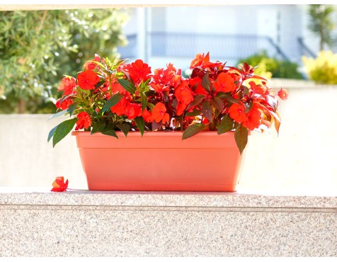 Jardinera Venezia Con Reserva De Agua Terracota