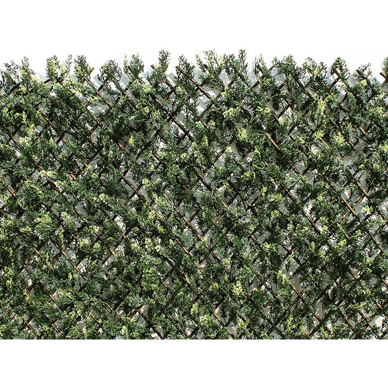 Celosía extensible con hojas de ciprés 1x2mt