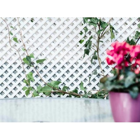 Gelosia Pvc Fixa Blanc