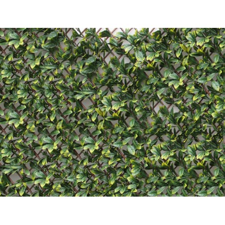 Celosía Extensible Con Hojas Laurel