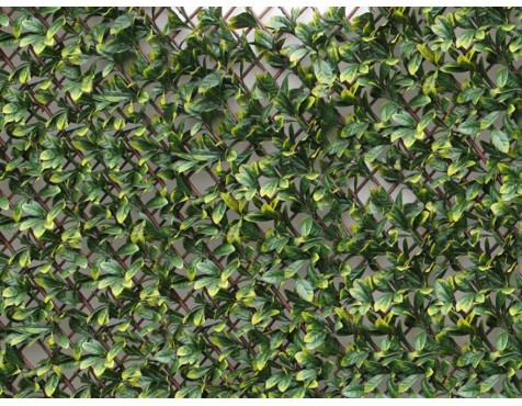 Celosía Extensible Con Hojas Laurel