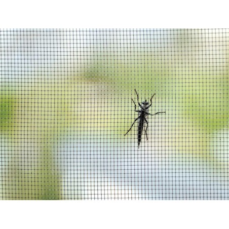 Mosquitera Lluerna Antracita