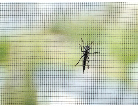 Mosquitera Lluerna Antracita