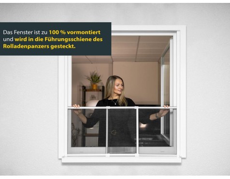 Mosquitera Extensible Ventana
