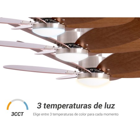 Ventilador De Techo Con Luz Rainbow M