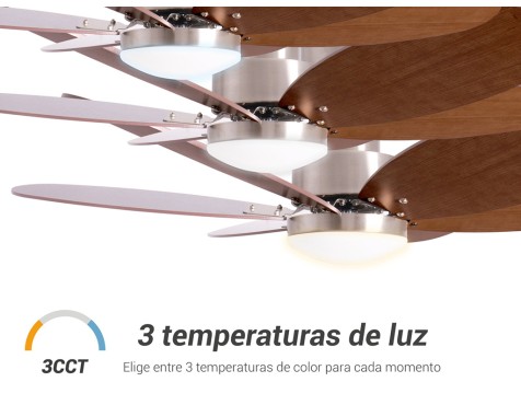 Ventilador De Techo Con Luz Rainbow M
