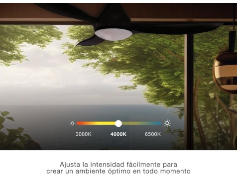 Ventilador De Techo Con Luz Y Mando Luma Negro