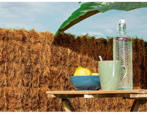 Vimet Natural Coconatur Biodegradable