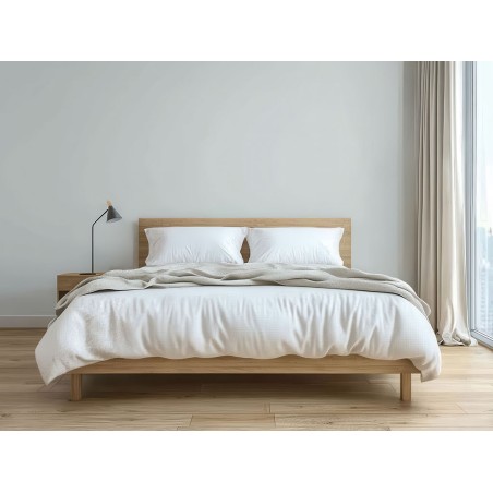 Pintura Bruguer Elegance Blanco Nube