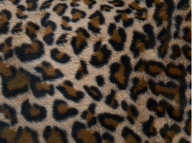 COIXÍ FAUVES CAMEL LEOPARD