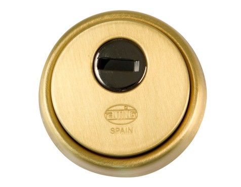 Escudo De Seguridad Amig 31 Latón