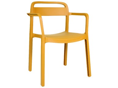 SILLA DE JARDÍN CON BRAZOS...