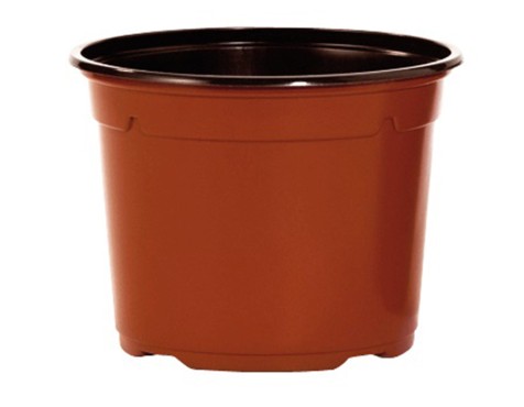 Joc 15 Testos Marrons