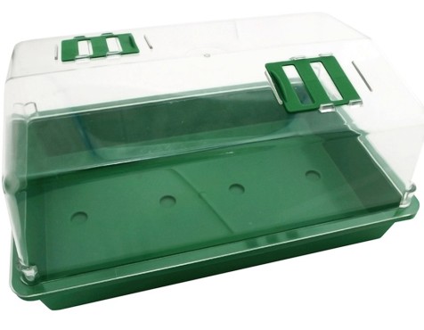 Germinador Semillas Verde