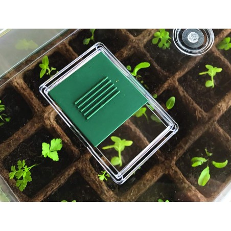 Germinador Semillas Verde