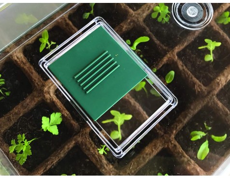 Germinador Semillas Verde