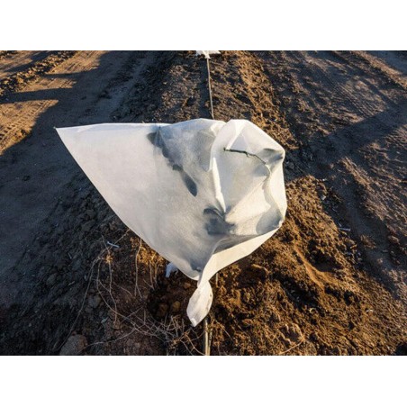 Capucha Atable Artic Para Plantas