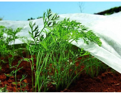 Tela Protectora Cultius I Plantes