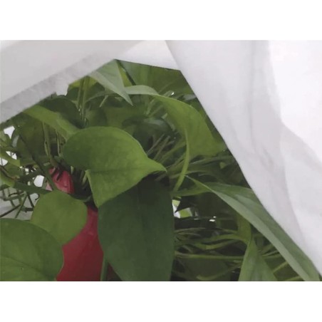 Tela Protectora Cultius I Plantes