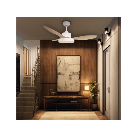 Ventilador De Sostre Amb Llum Biula