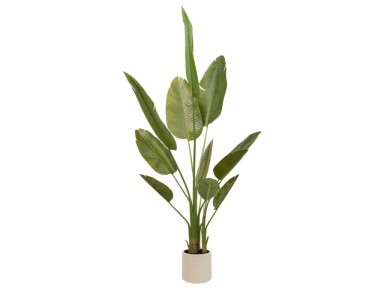 PLANTA ARTIFICIAL PLATANERO