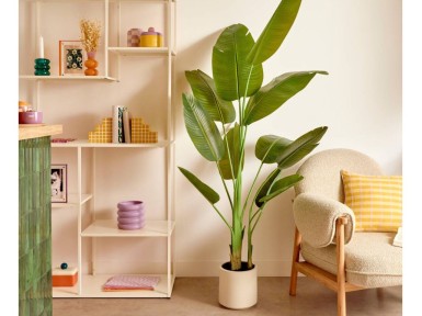 PLANTA ARTIFICIAL PLATANERO