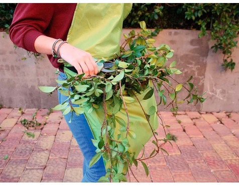 Davantal Jardí Recol·Lecció Impermeable