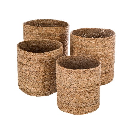 Cistella Canya Seagrass Canya (4un)