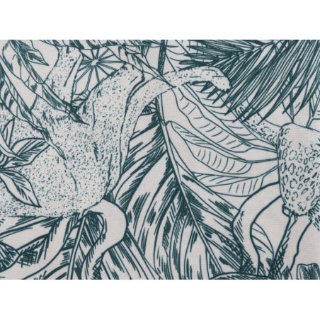 Estovalles Jungle