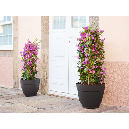 Test Campana Capri Antracita