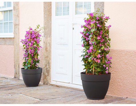 Test Campana Capri Antracita