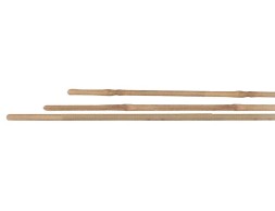 Tutor De Bambú Natural (10un)