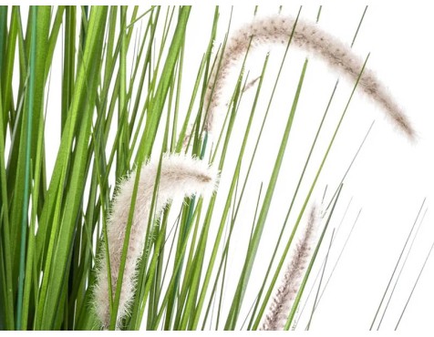 Planta Artificial Cua De Gat