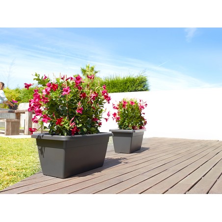 Jardinera Venezia Xl Antracita
