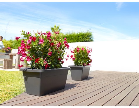 Jardinera Venezia Xl Antracita