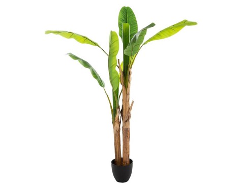 Planta Artificial Doble Plataner