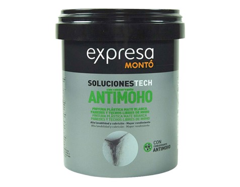 Pintura Plástica Antimoho Blanca Expresa Montó