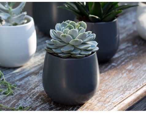 Maceta Vitória Gris Oscuro