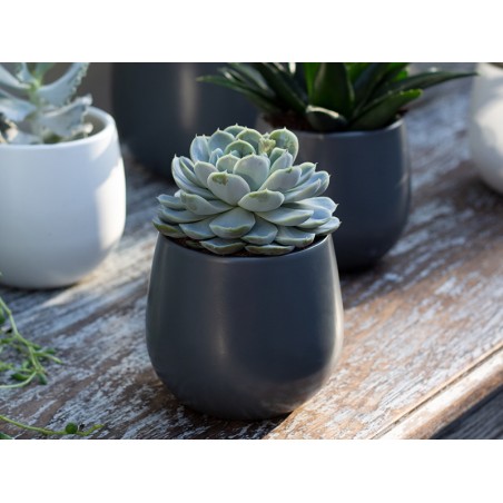 Maceta Vitória Gris Oscuro