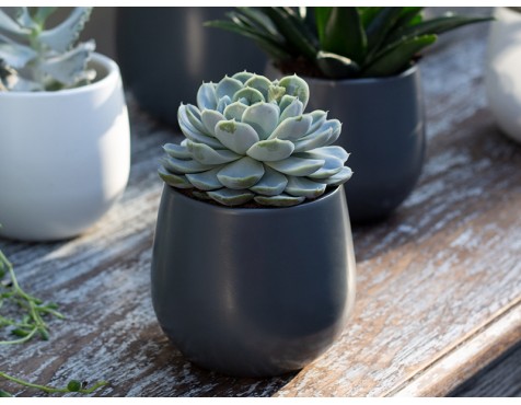 Maceta Vitória Gris Oscuro