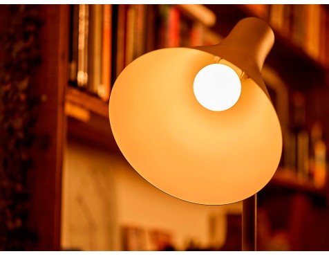 Bombilla Led Estándar Philips Luz Cálida 2un
