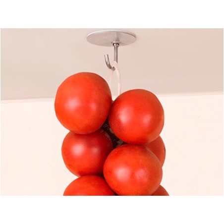 Colgador Adhesivo Acero Inoxidable