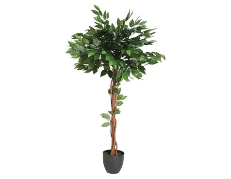 Planta Artificial Ficus