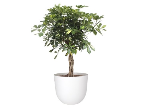 Maceta Havana Natural Granit
