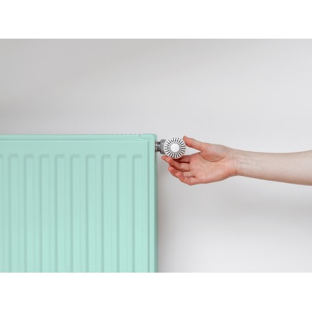 Esmalte Acrílico Bruguer Mint