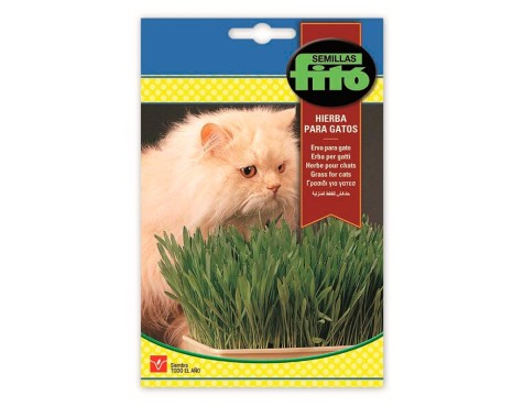 Herba Per Gats