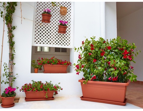 Jardinera Venezia Xl Terracota